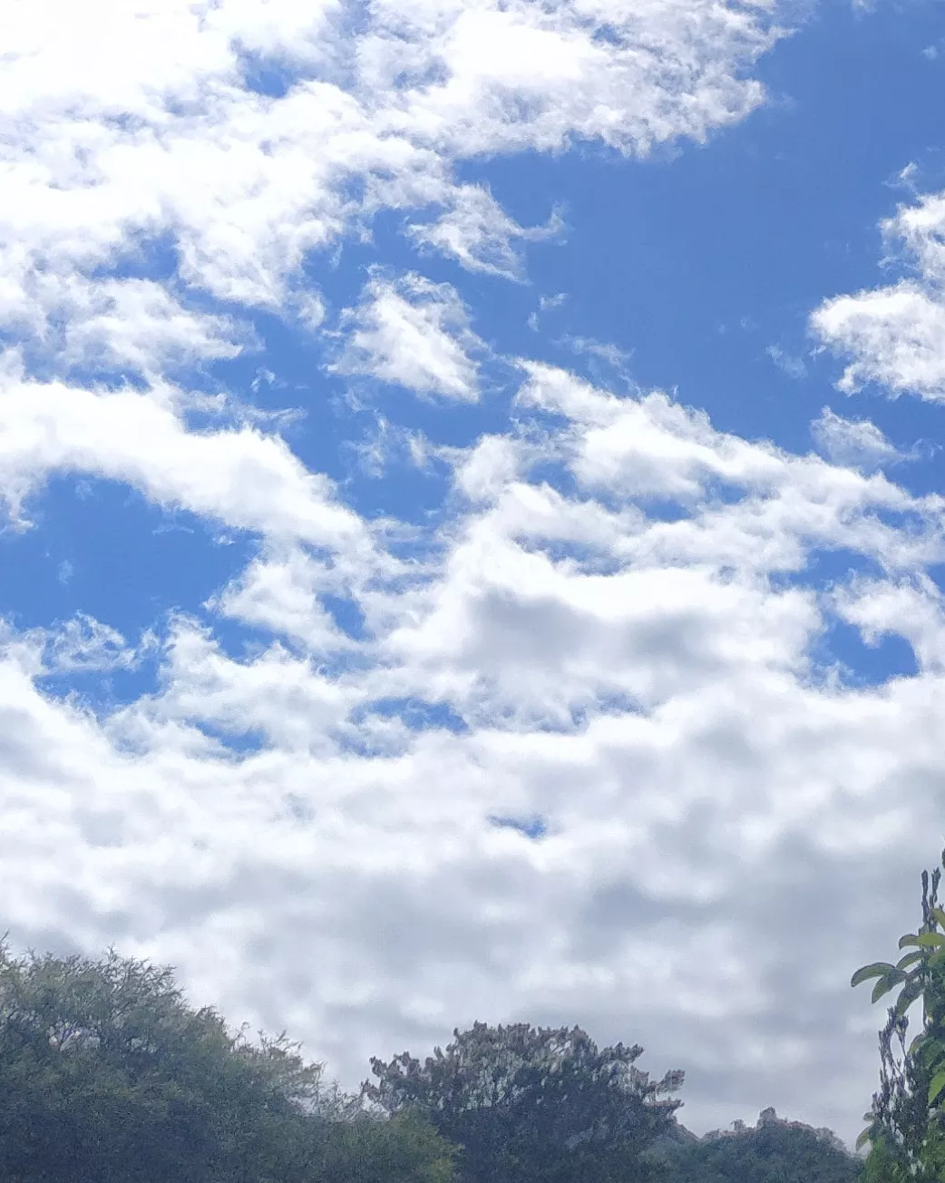 Clima en Calamuchita